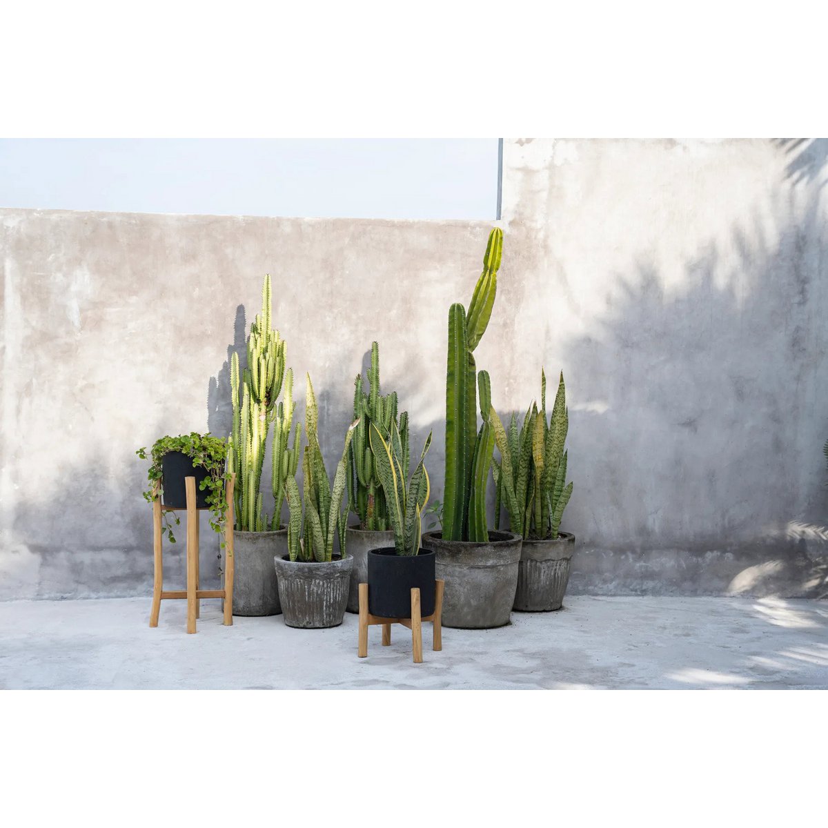 The Charcoal Low - Zwart Naturel - S – Bazar Bizar Living (foto 3 van 8)