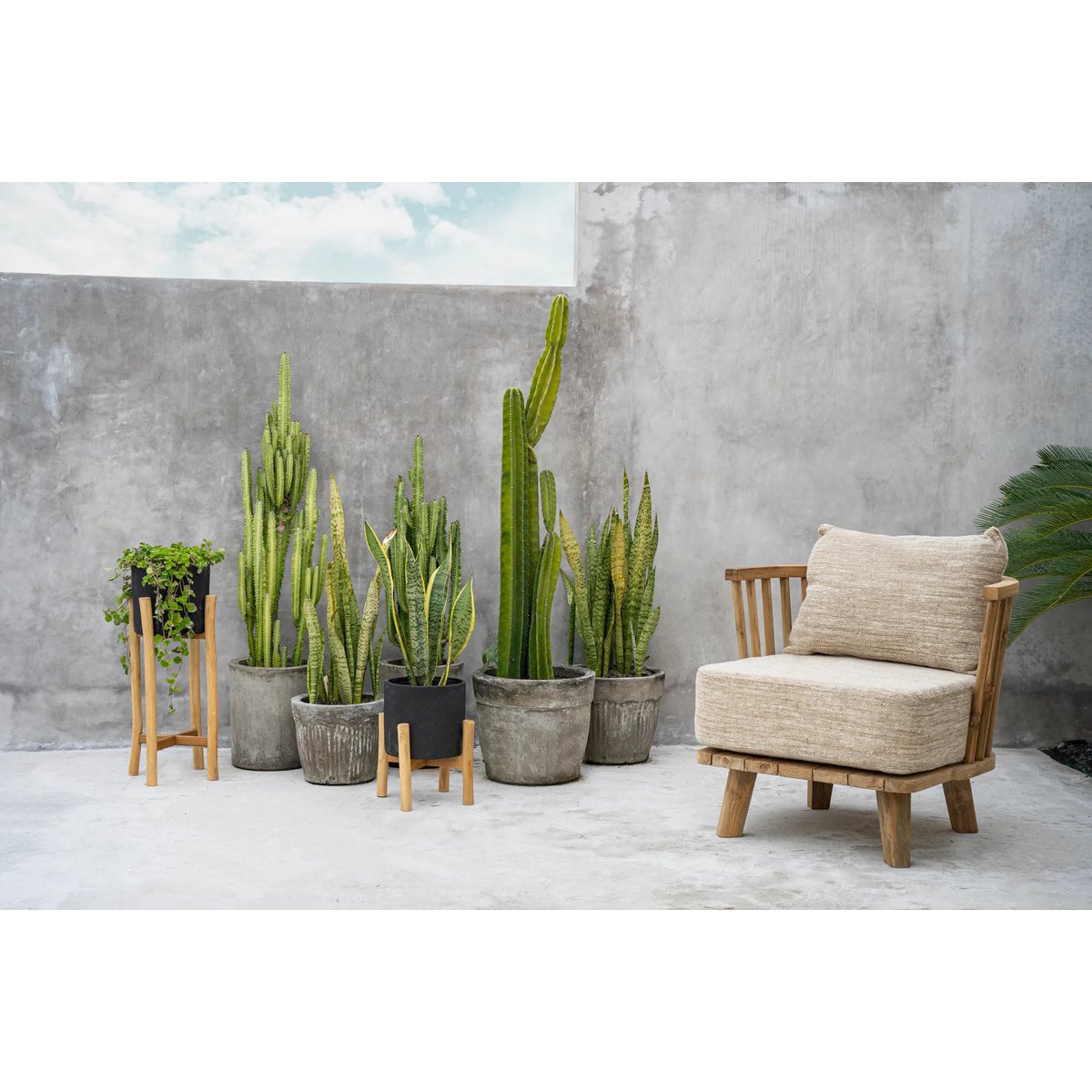 The Charcoal Low - Zwart Naturel - S – Bazar Bizar Living (foto 6 van 8)
