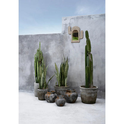 De Cactusschelpspiegel - Wit