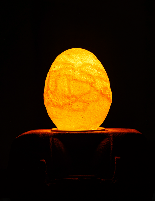Egglamp Special Edition