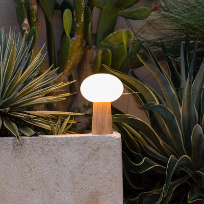 Max Lichtbruine Houten Oplaadbare Tafellamp