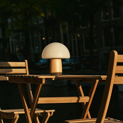 Mia Lichtbruine stijlvolle oplaadbare tafellamp