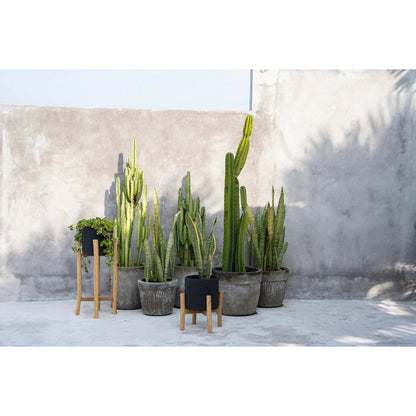 The Charcoal Low - Zwart Naturel - S