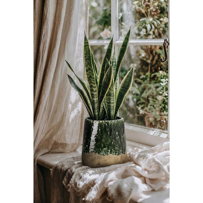 De Moss Conische Plantenbak - Betongroen - L