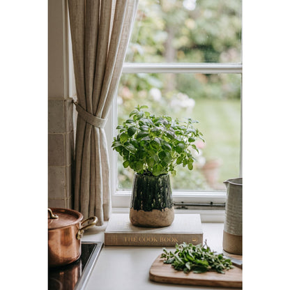 De Moss Conische Plantenbak - Betongroen - M