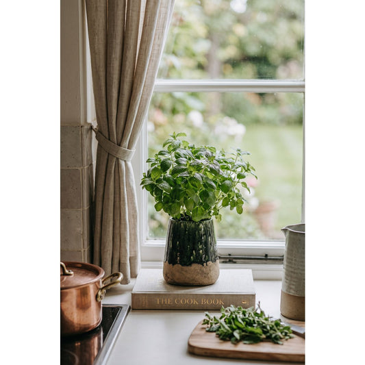 De Moss Conische Plantenbak - Betongroen - M