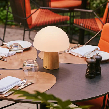 Mia Lichtbruine stijlvolle oplaadbare tafellamp