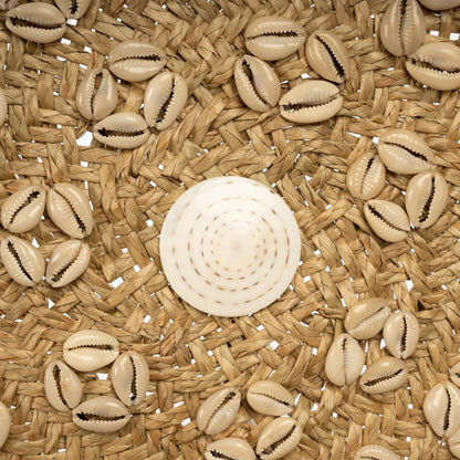 De Caribe Shell Plaat - Natuurlijk Wit - M