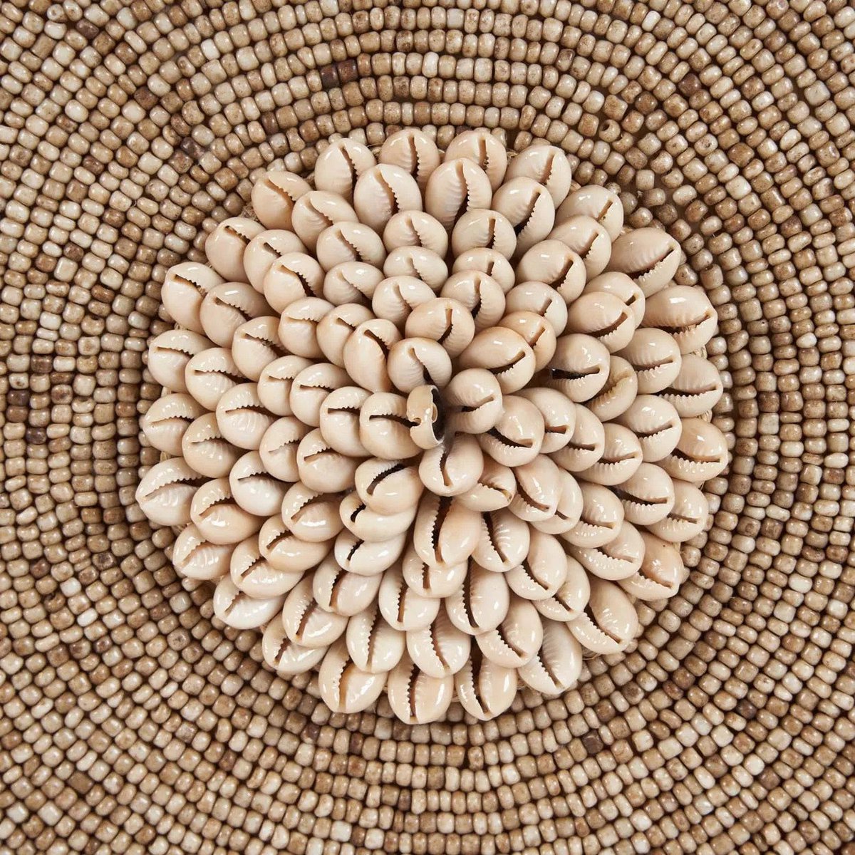 De Schelp Guadeloupe op Standaard - Natuurlijk Wit – Bazar Bizar Living (foto 5 van 8)