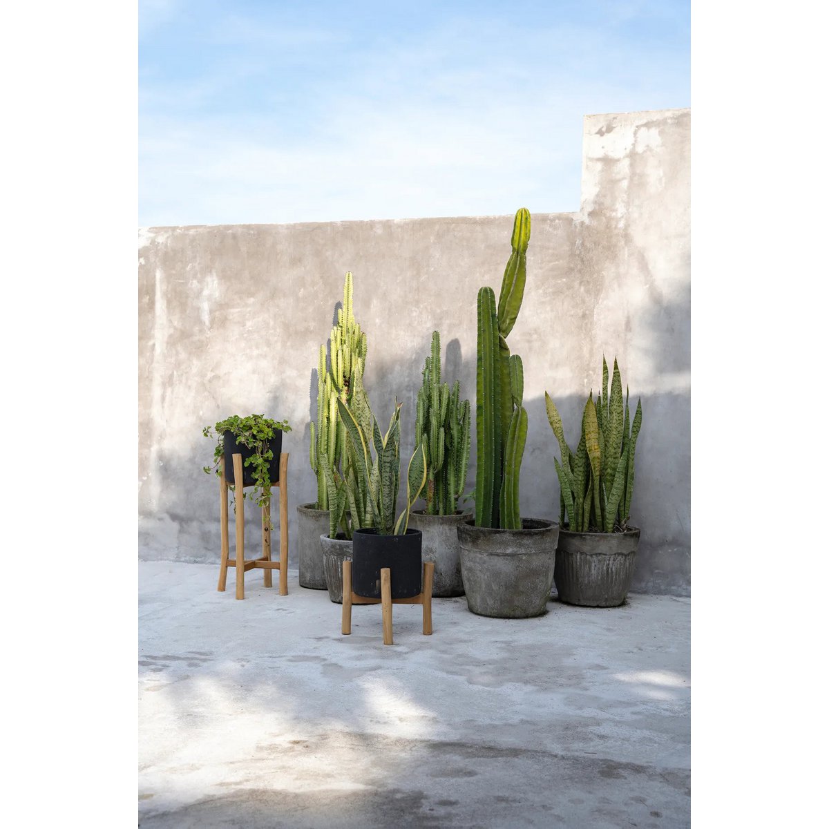 The Charcoal Low - Zwart Naturel - S – Bazar Bizar Living (foto 4 van 8)