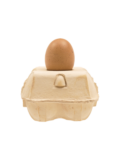 EggboxLAMP Corn