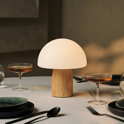 Mia Lichtbruine stijlvolle oplaadbare tafellamp