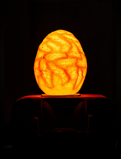 Egglamp Special Edition