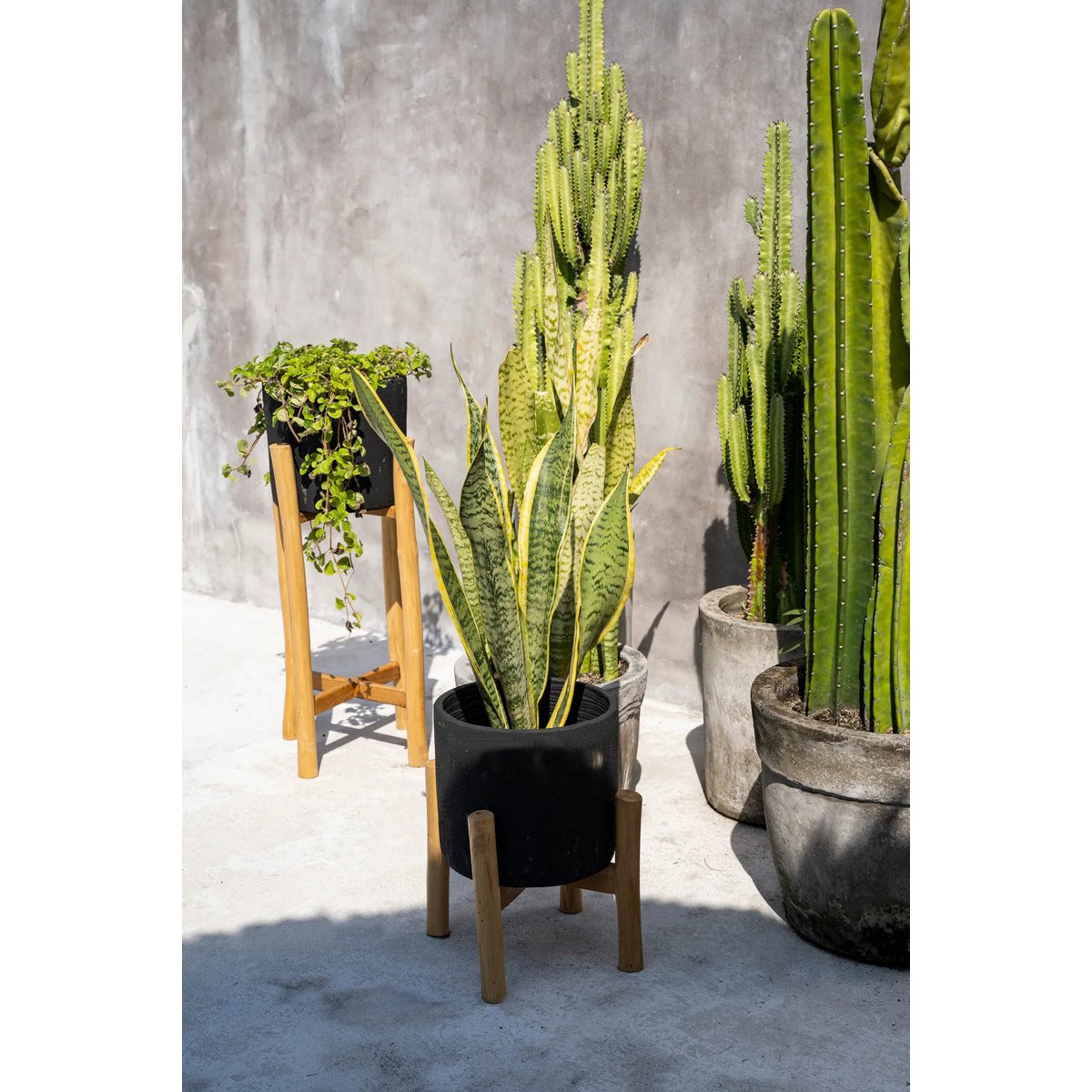The Charcoal Low - Zwart Naturel - S – Bazar Bizar Living (foto 5 van 8)