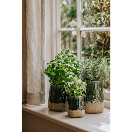 De Moss Conische Plantenbak - Betongroen - S