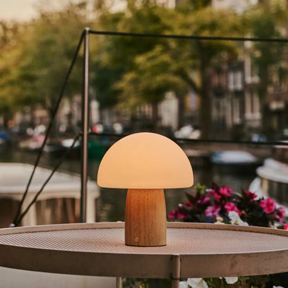 Mia Lichtbruine stijlvolle oplaadbare tafellamp