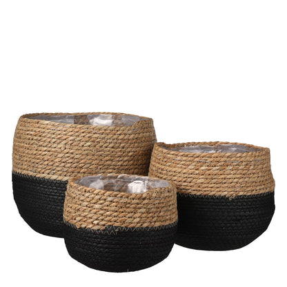Plantenmand set Jorck Zwart