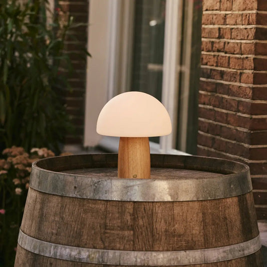 Mia Lichtbruine stijlvolle oplaadbare tafellamp