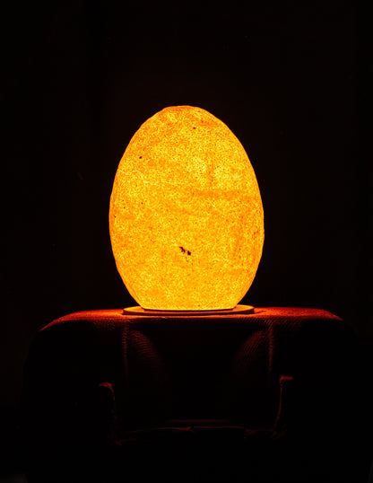 Egglamp Special Edition