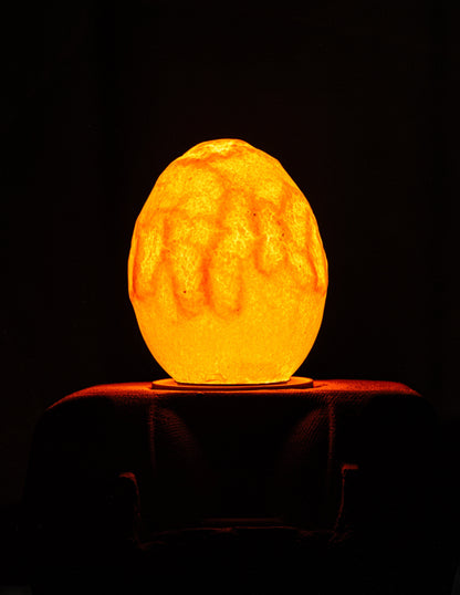 Egglamp Special Edition