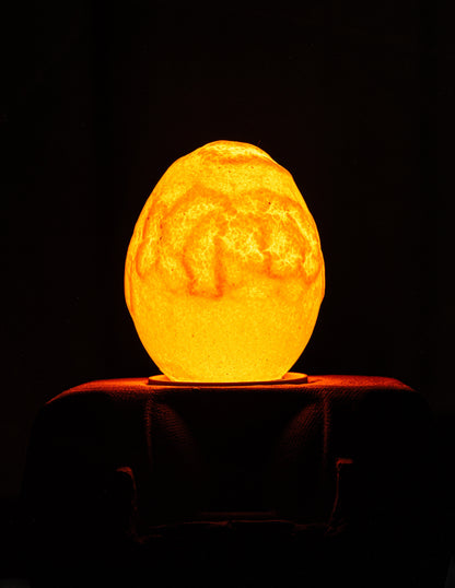 Egglamp Special Edition