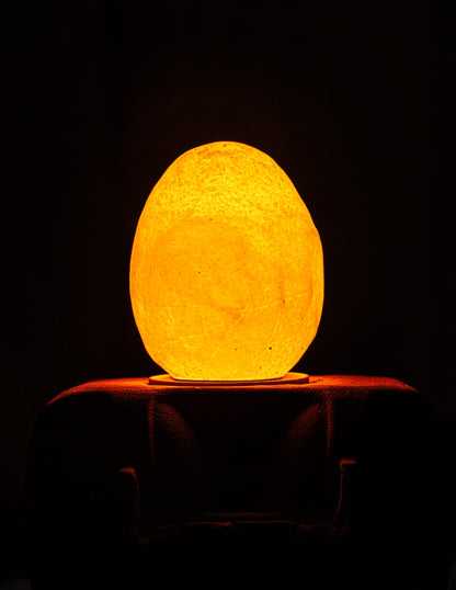 Egglamp Special Edition