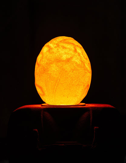 Egglamp Special Edition