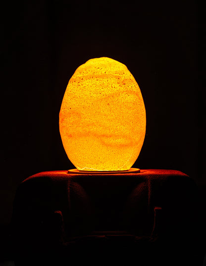Egglamp Special Edition