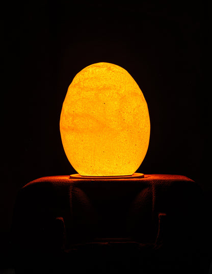 Egglamp Special Edition